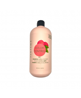 Teotema Шампунь для окрашенных волос с экстрактом личи, черники и лимона Color Control Shampoo - 1000 ml